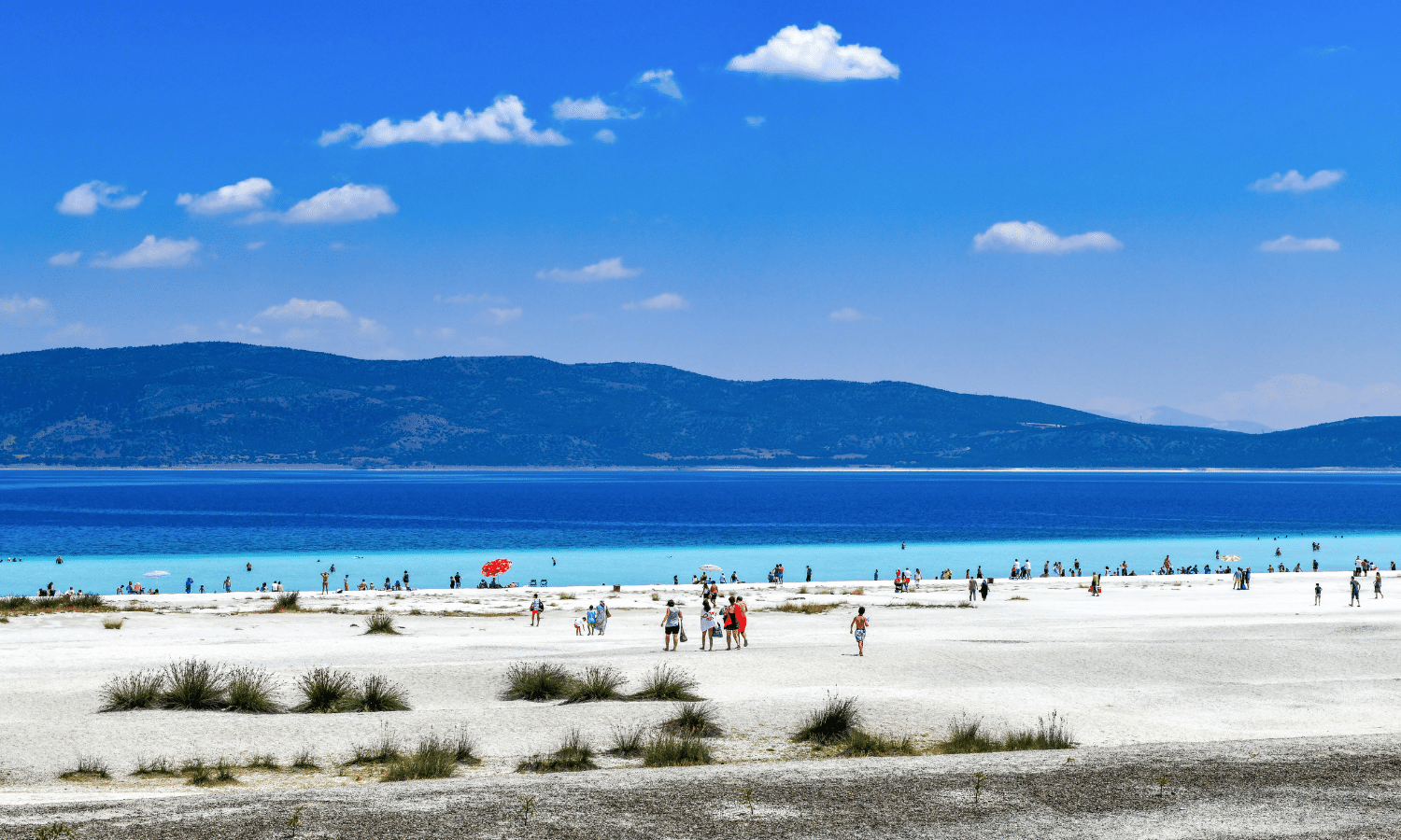 Turkey Thab Travel Private: Discover Ephesus, Pamukkale and Antalya with Guided Tour- 3 Days